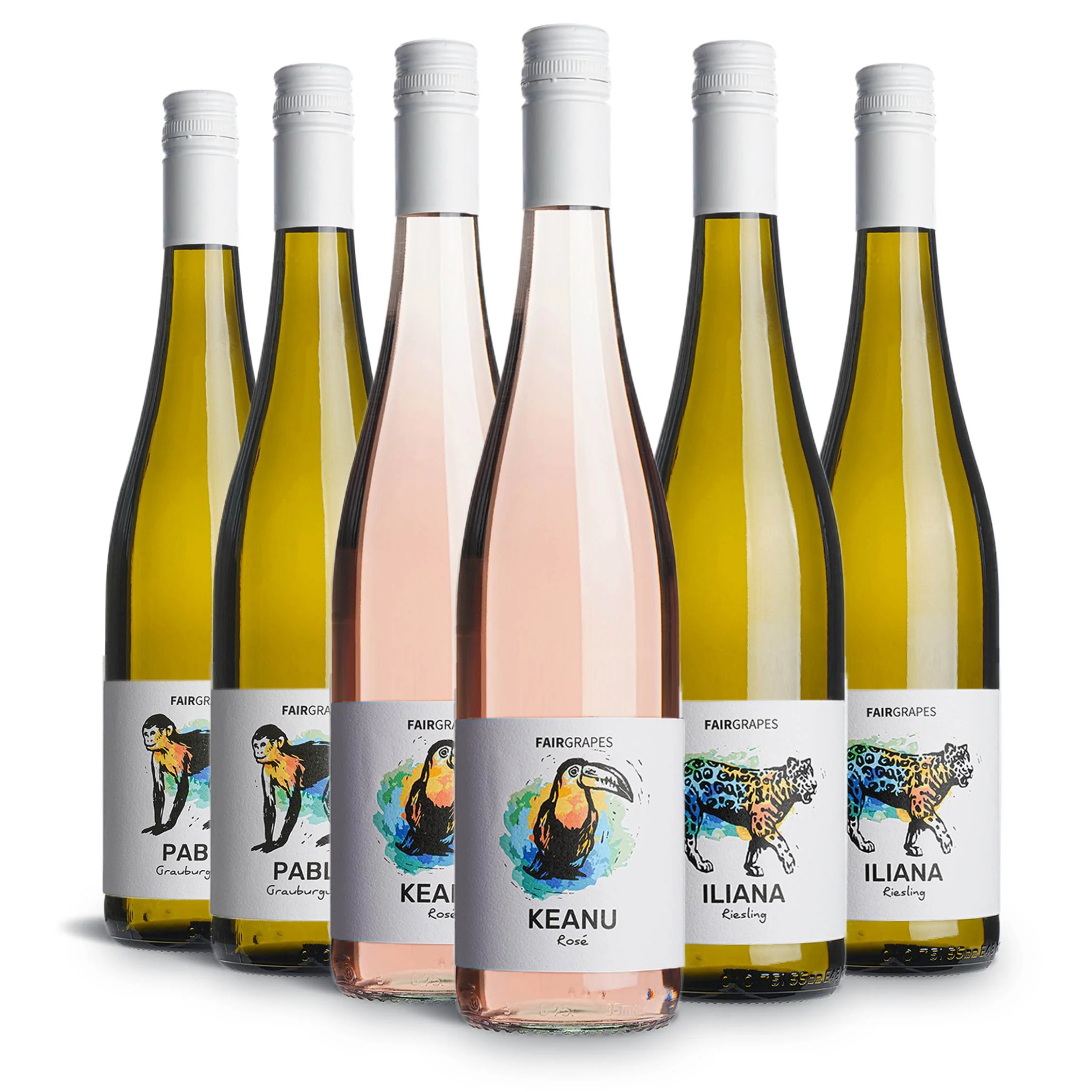 fairgrapes - Illustration der Etiketten, Umsetzung als Linolschnitt digital verarbeitet © Foto: fairgrapes.eu
