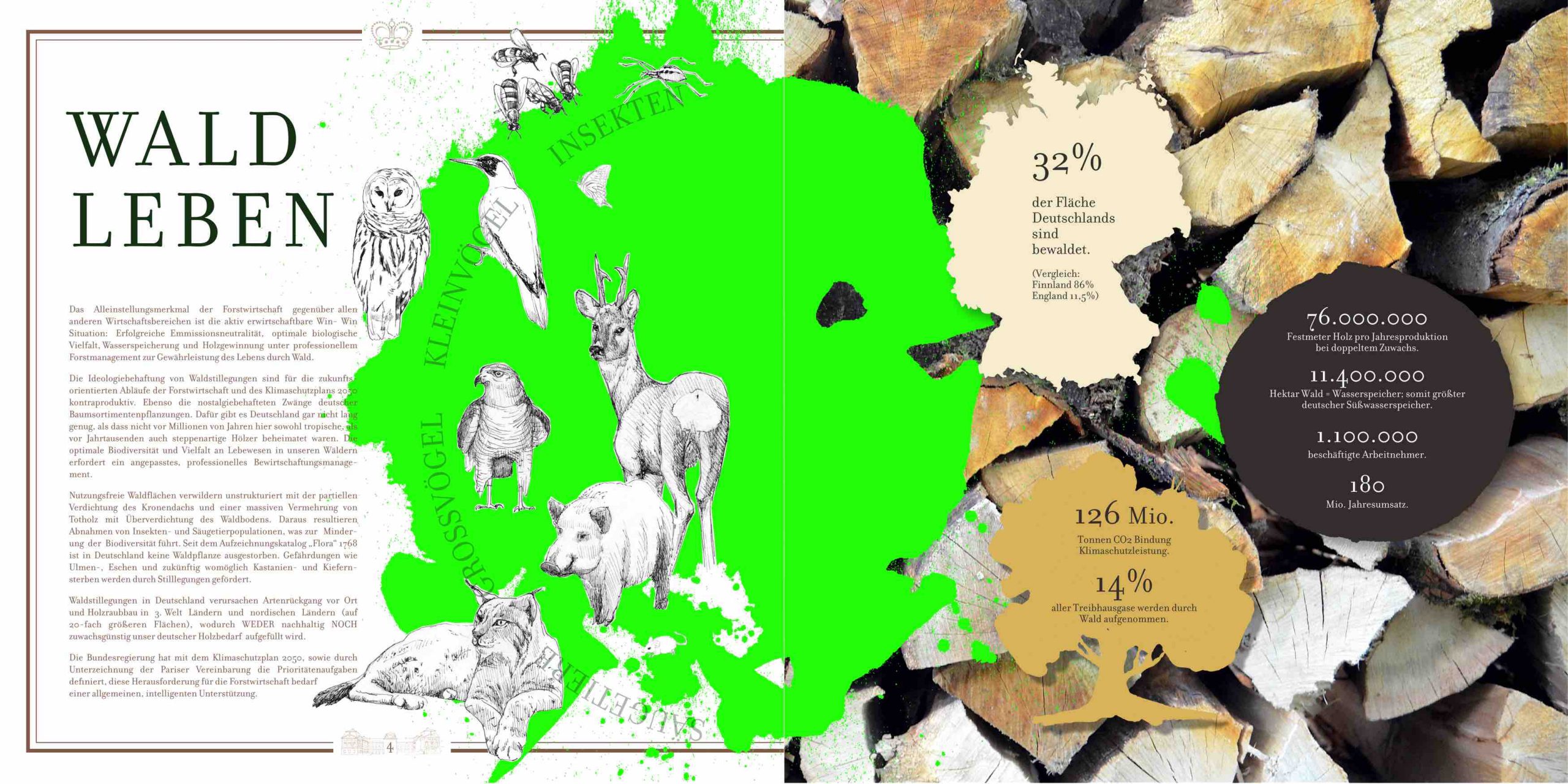 Illustrationen und Grafikdesign in de und en der Waldbroschüre für die Unternehmensgruppe Fürst zu Löwenstein © Rita Stern
