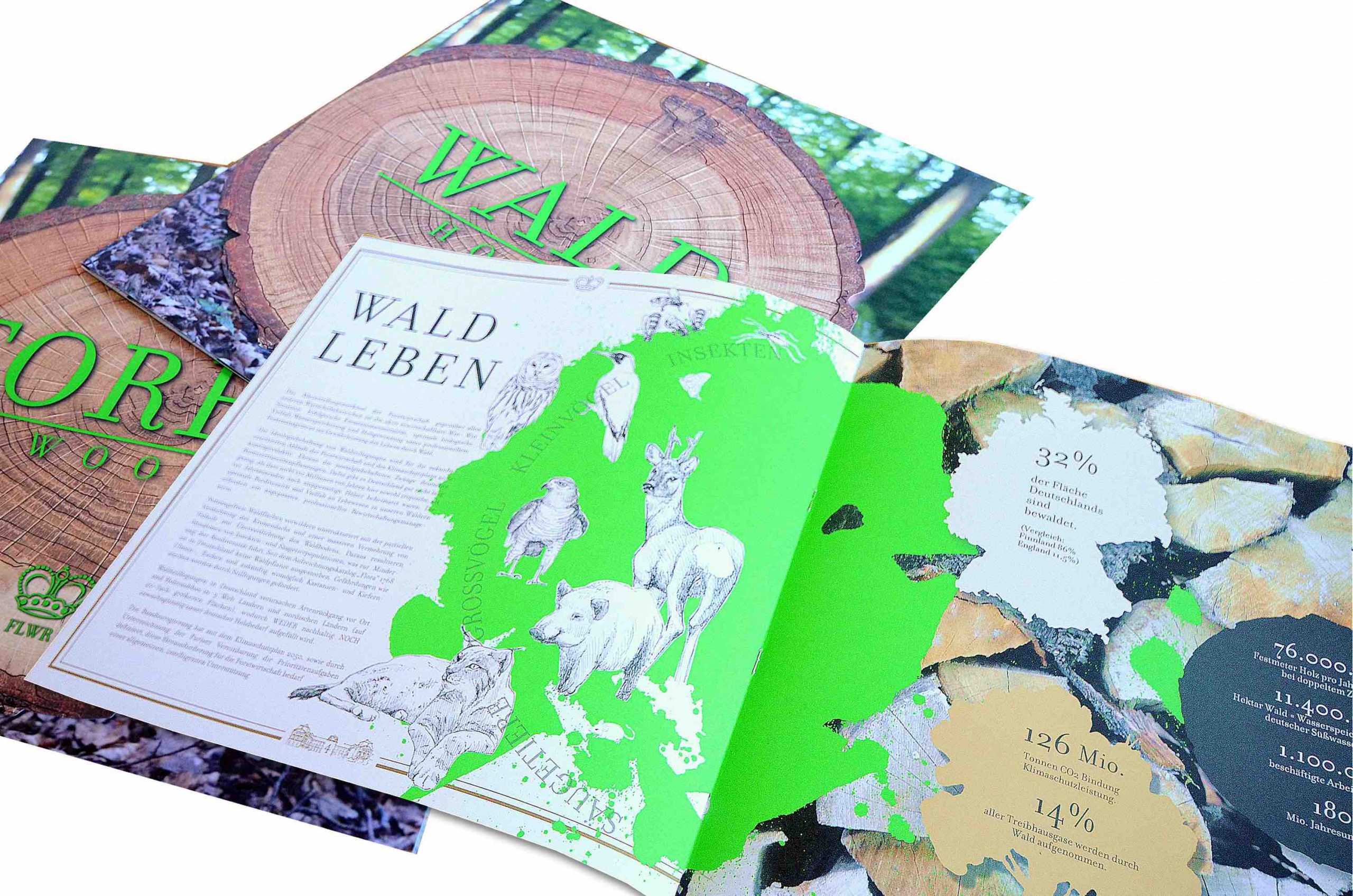 Illustrationen und Grafikdesign der Waldbroschüre für die Unternehmensgruppe Fürst zu Löwenstein © Rita Stern